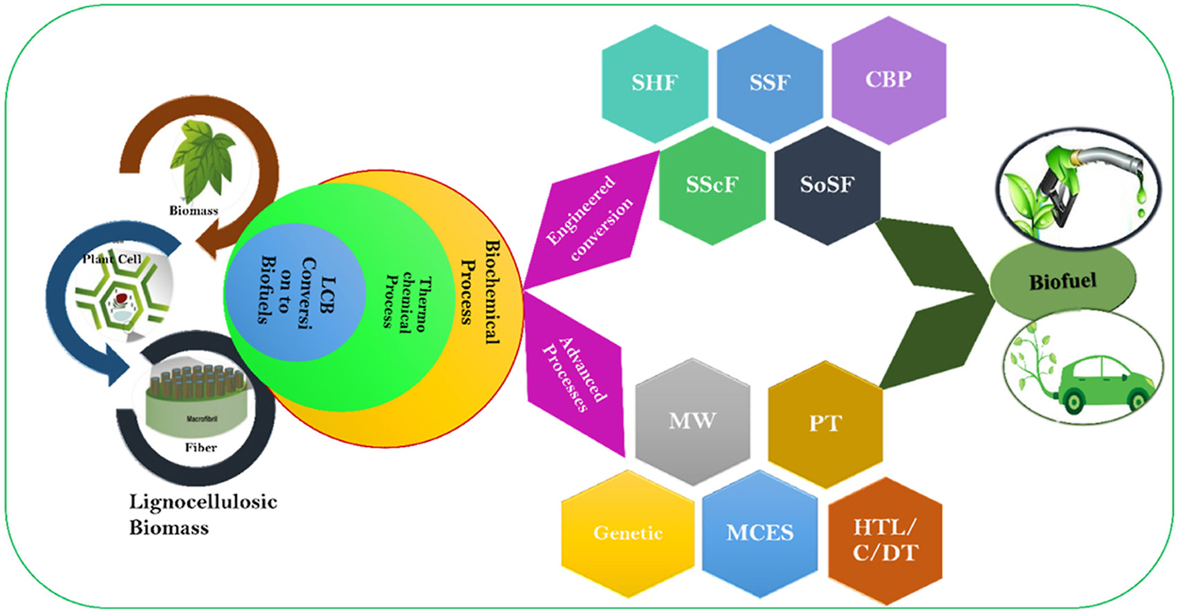 Bioeconomy inventories – BioRural